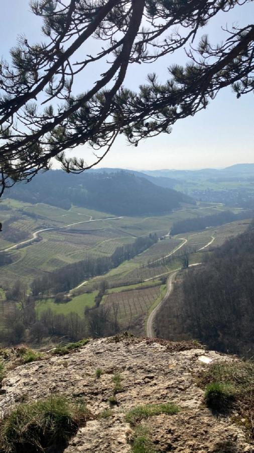 Gite Des Reculees Ladoye-sur-Seille Luaran gambar